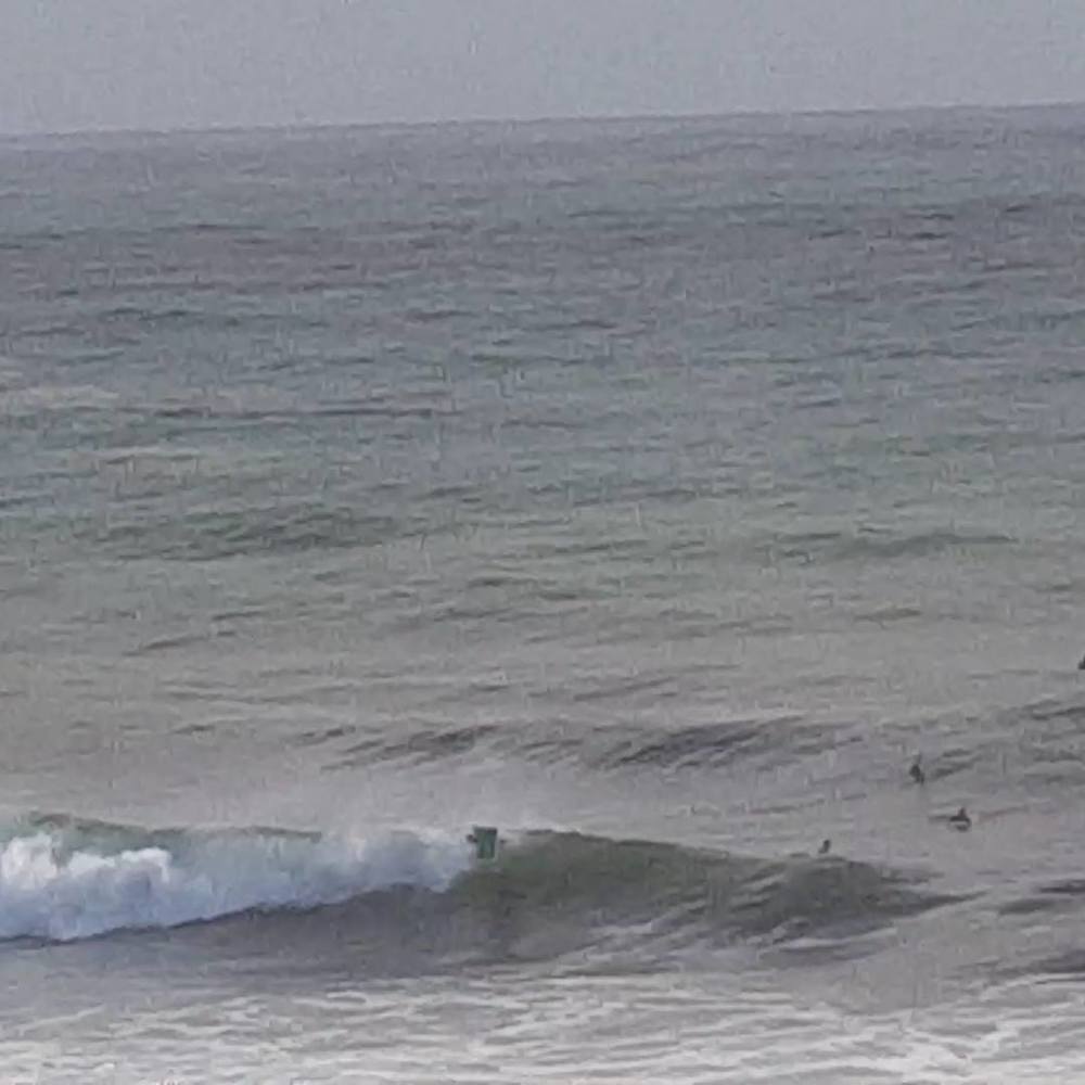 Meet your Posher, Shea-lance